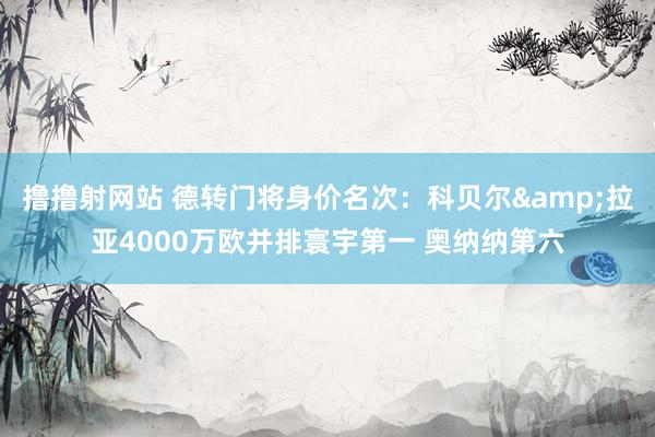 撸撸射网站 德转门将身价名次：科贝尔&拉亚4000万